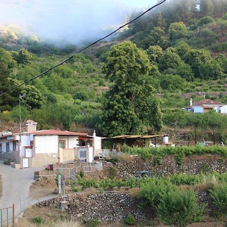 Finca El Cole Villa Las Palmas de Gran Canaria Eksteriør billede