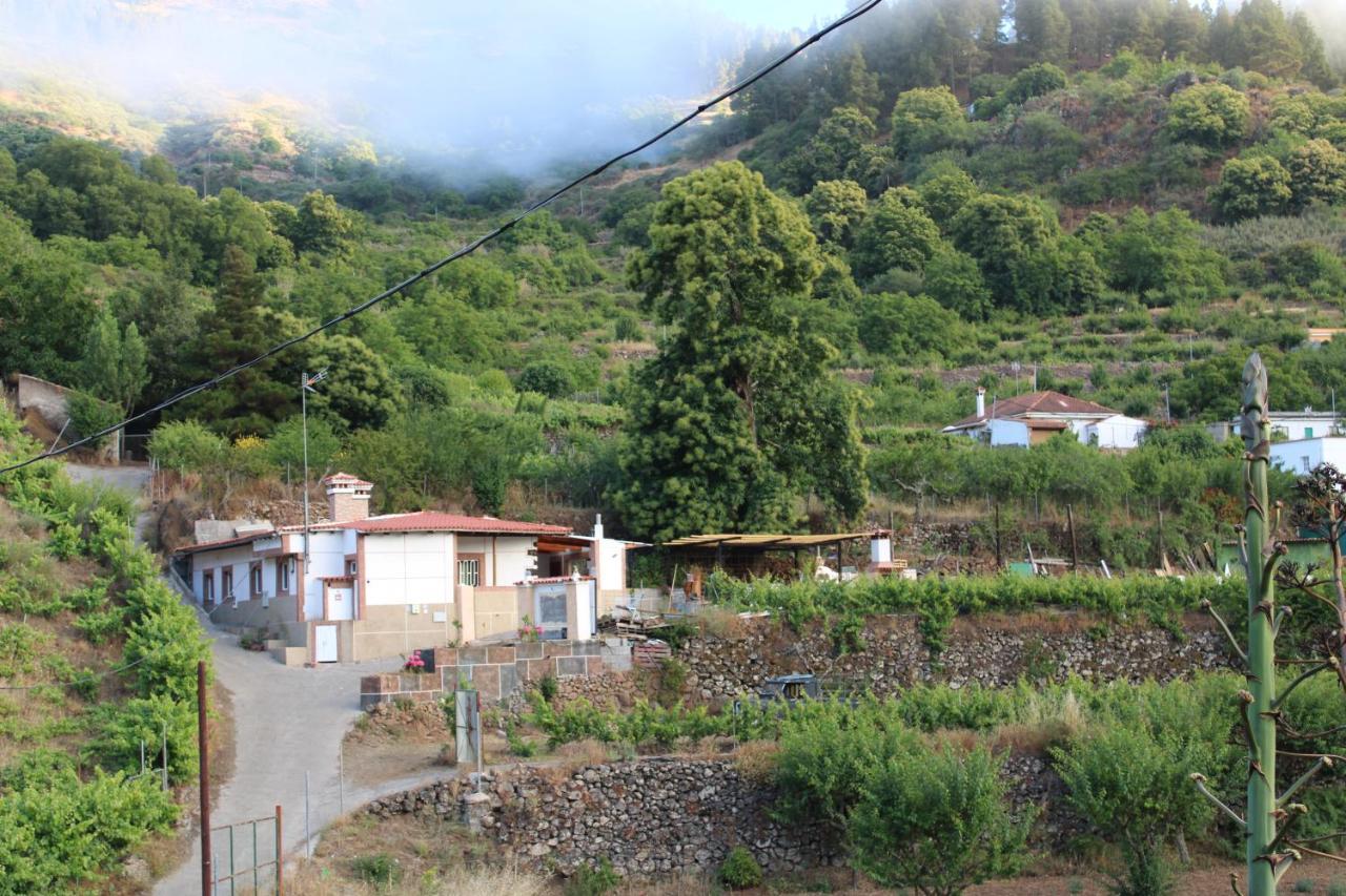 Finca El Cole Villa Las Palmas de Gran Canaria Eksteriør billede