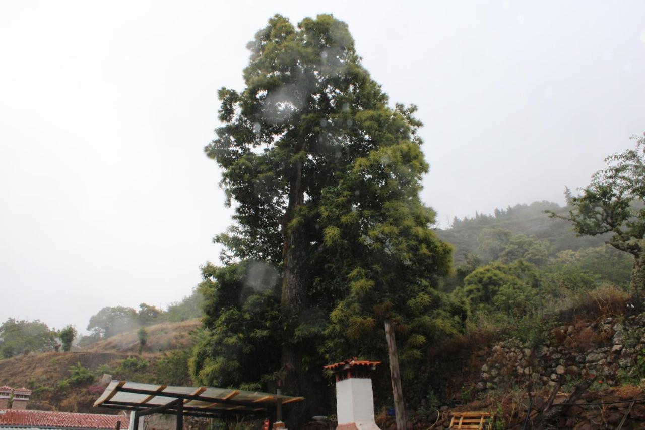 Finca El Cole Villa Las Palmas de Gran Canaria Eksteriør billede