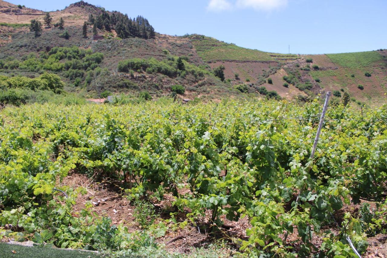 Finca El Cole Villa Las Palmas de Gran Canaria Eksteriør billede