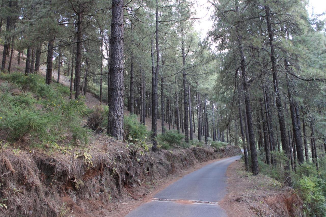 Finca El Cole Villa Las Palmas de Gran Canaria Eksteriør billede