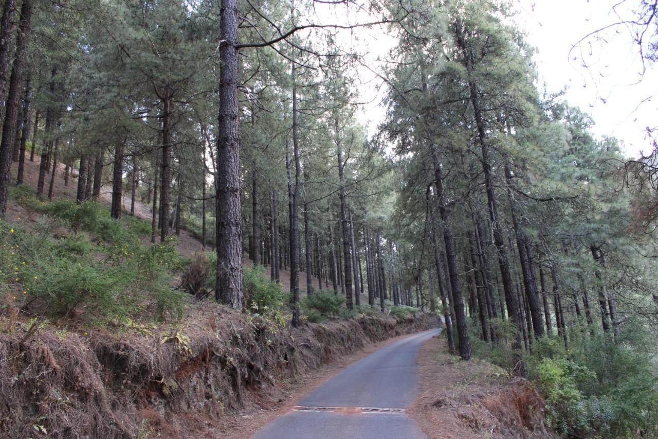 Finca El Cole Villa Las Palmas de Gran Canaria Eksteriør billede