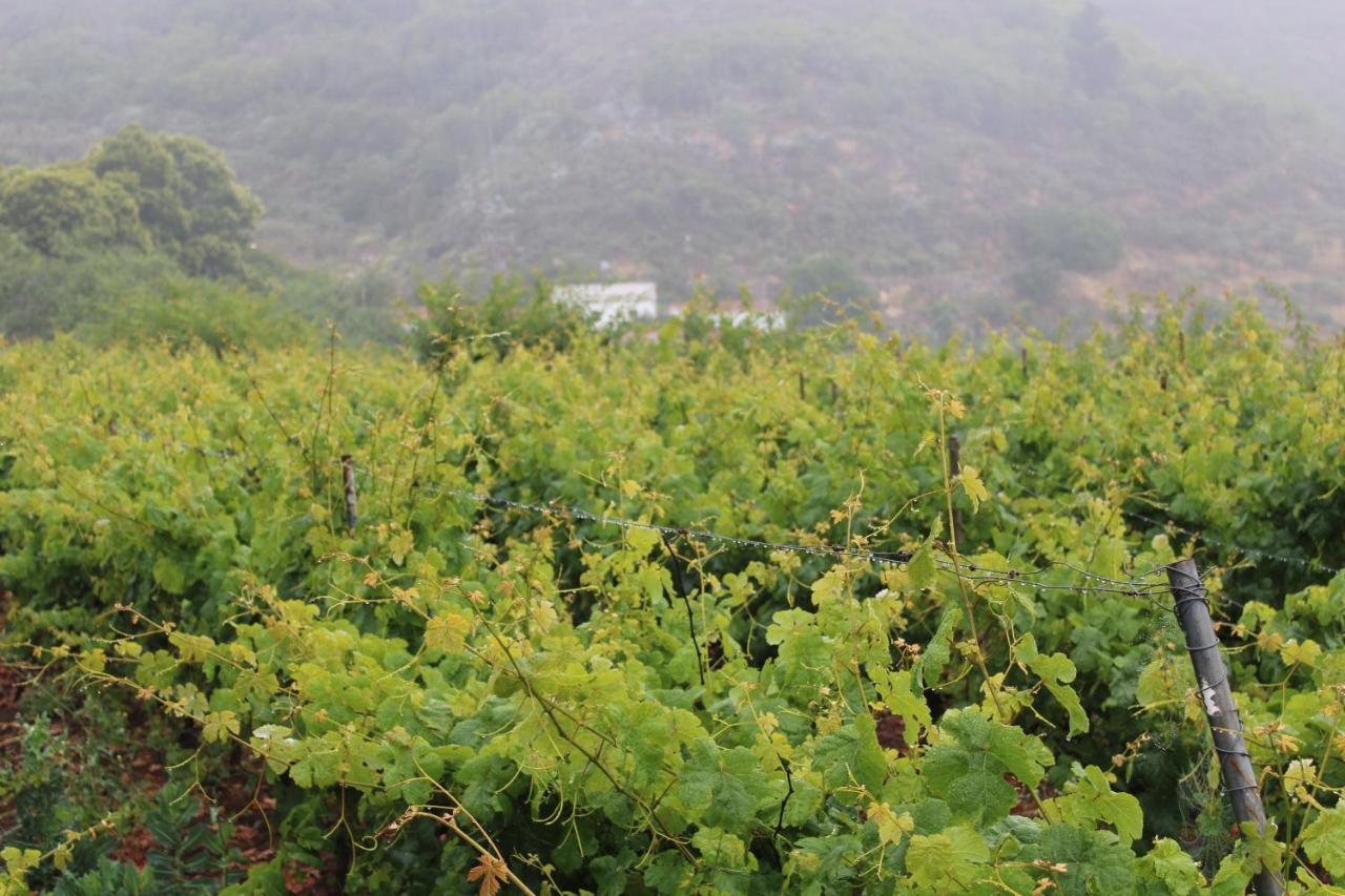 Finca El Cole Villa Las Palmas de Gran Canaria Eksteriør billede