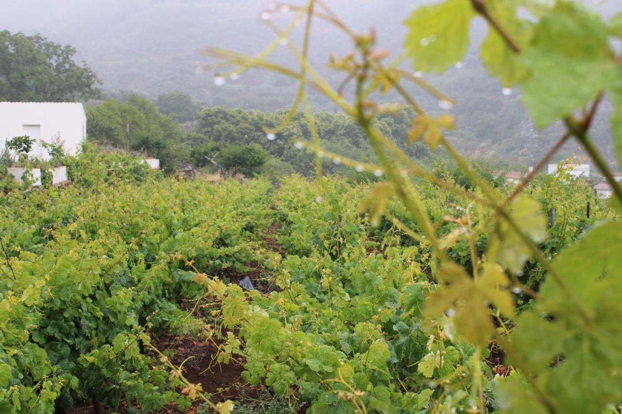 Finca El Cole Villa Las Palmas de Gran Canaria Eksteriør billede
